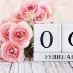 February 6th Calendar Blocks With Pink Ranunculus Stock Image Image