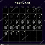 Moon Phases Calendar For 2019 With Realistic Moon February Vector