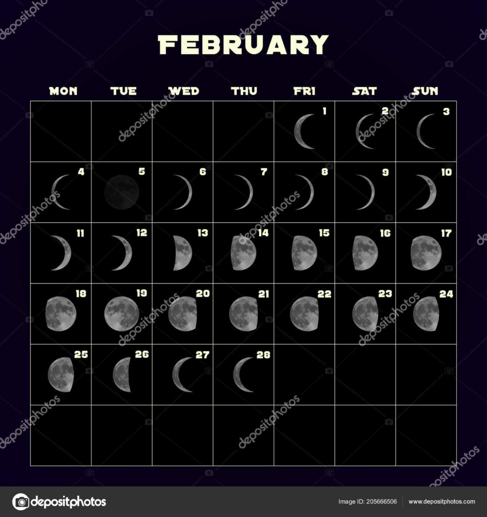 Moon Phases Calendar For 2019 With Realistic Moon February Vector 